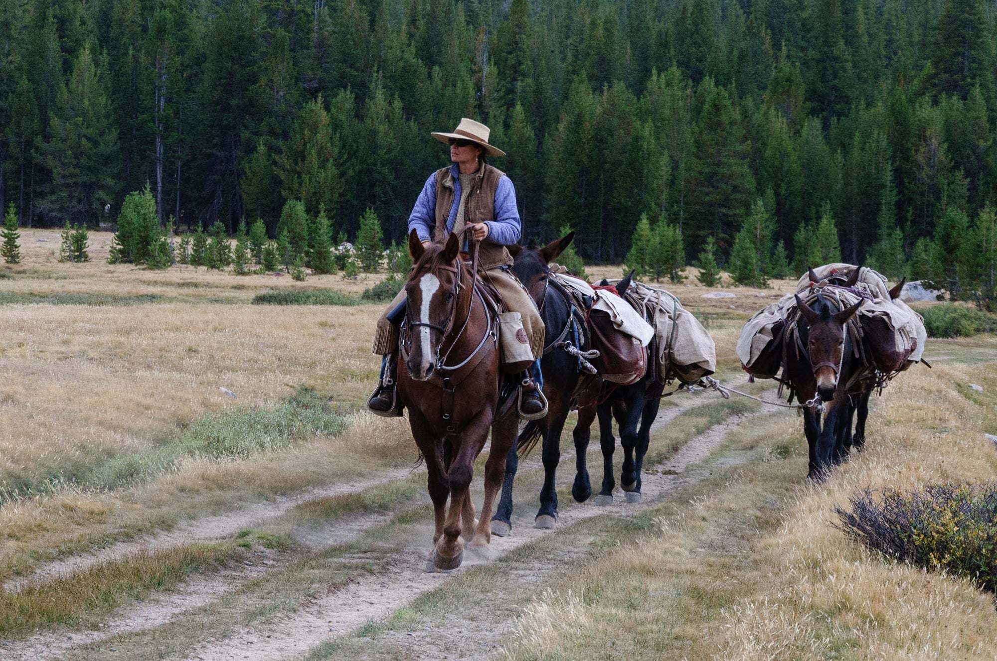 National Day Of The Cowboy Celebrates Its 20th Anniversary!