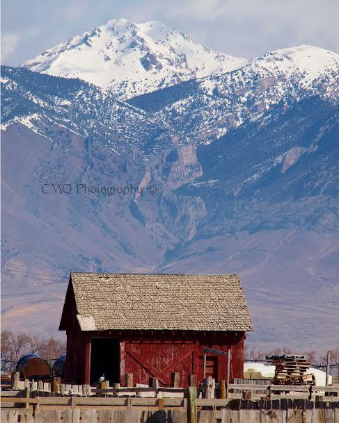 Fine Art Print by CMQ Photography: "Salt Shed"