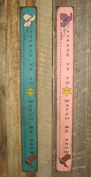 Western Wall Sign Home: Kids Measuring Stick Turquoise, Pink