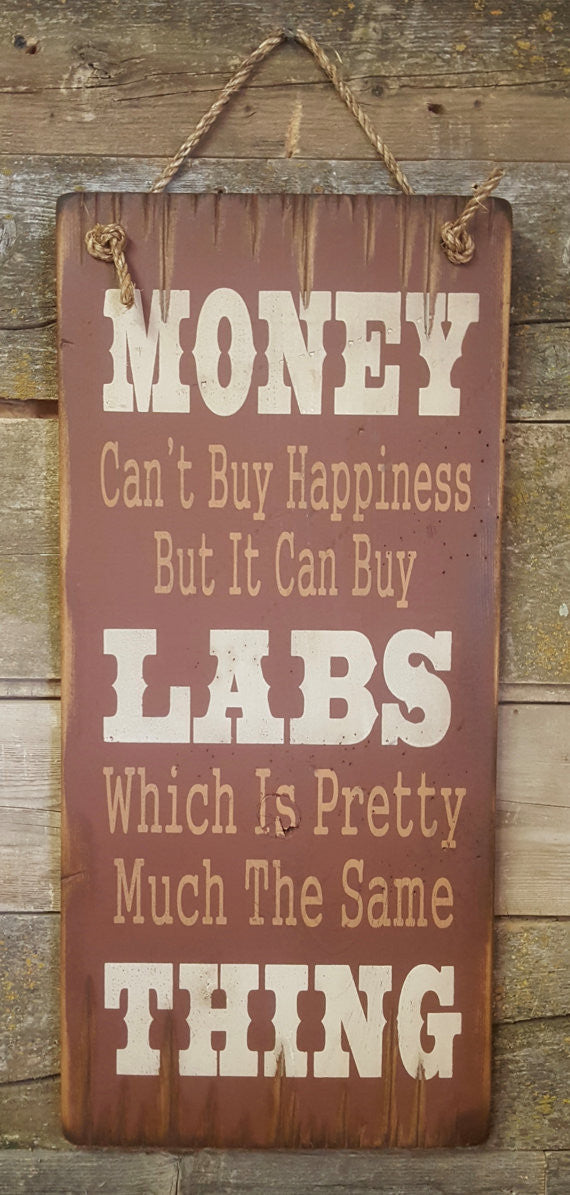 Western Wall Sign Money: Money Can't Buy Happiness But It Can Buy Labs